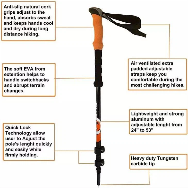 best trekking poles